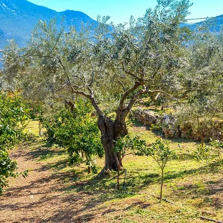 Maria Epidavros Lägenhet Epidaurus