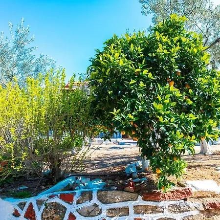 Lägenhet Maria Epidavros *