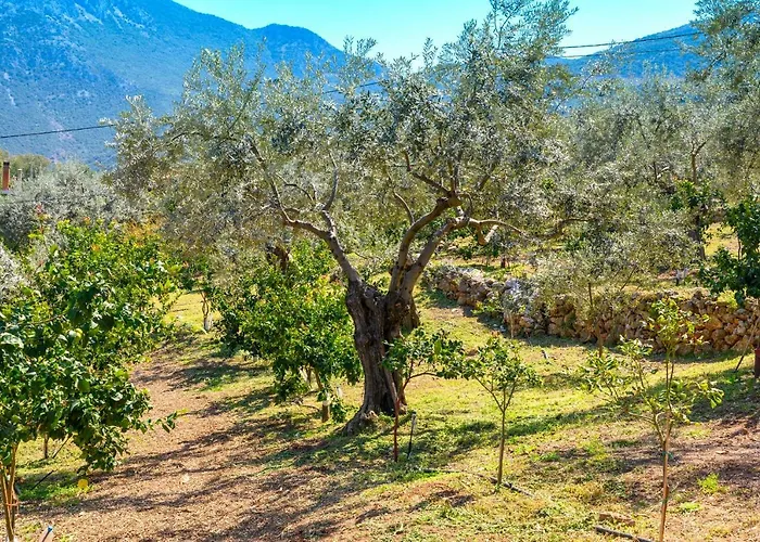 Maria Studios Epidavros شقة Epidaurus