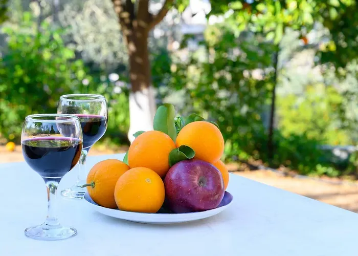 Maria Epidavros 公寓 Epidaurus