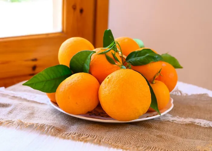 Maria Studios Epidavros *